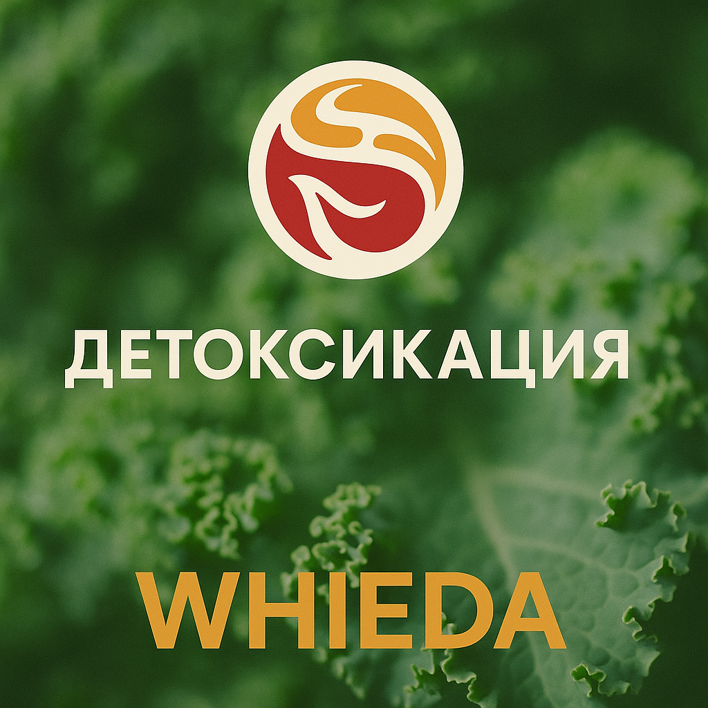 детоксикация Челны виеда